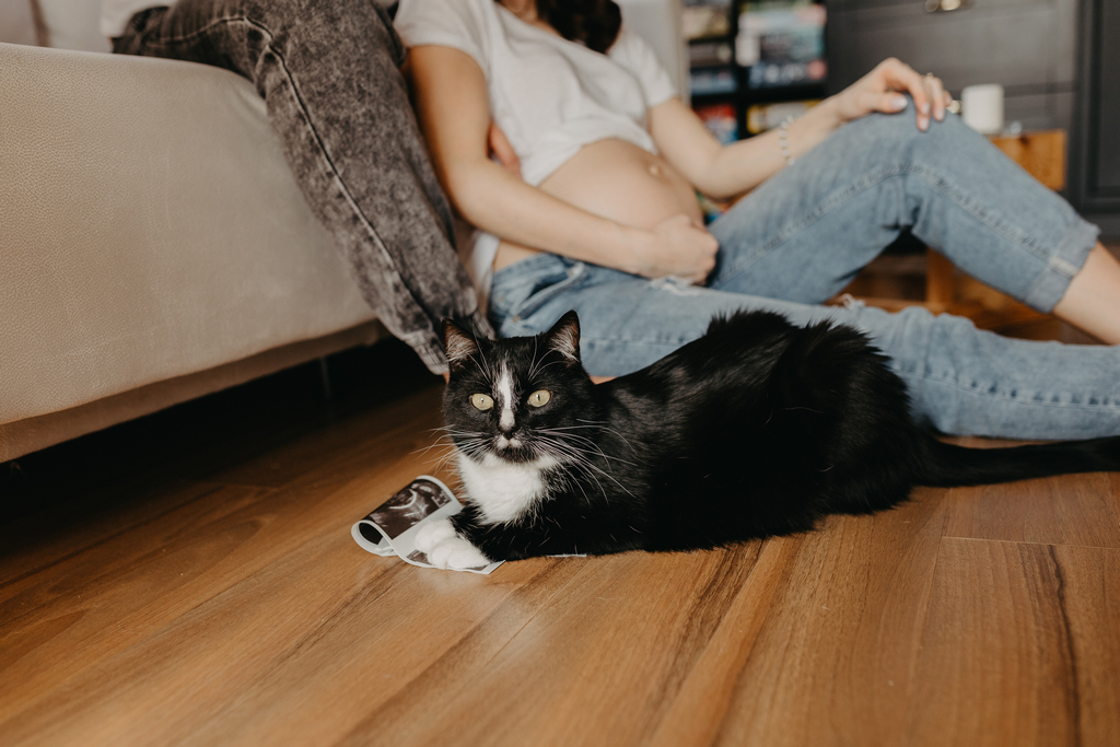 Przyszła mama na sesji brzuszkowej w domu, w Gdańsku, wraz z partnerem